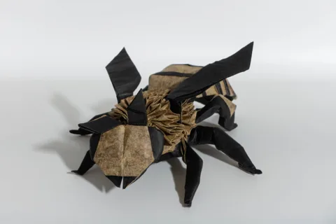Bee