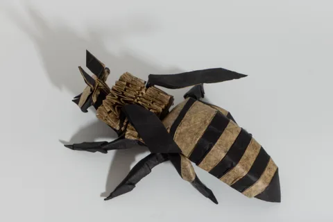 Bee