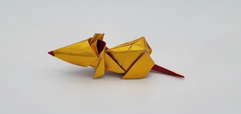 Rat