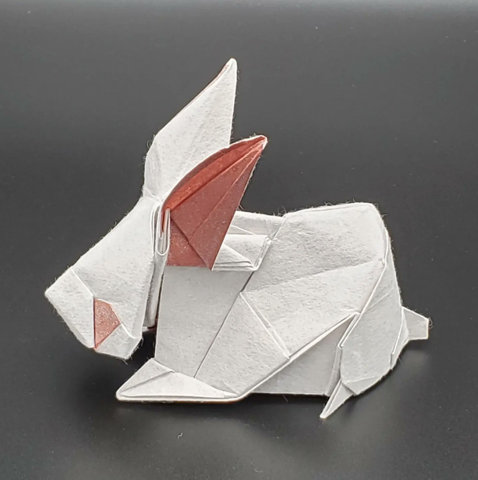 Rabbit