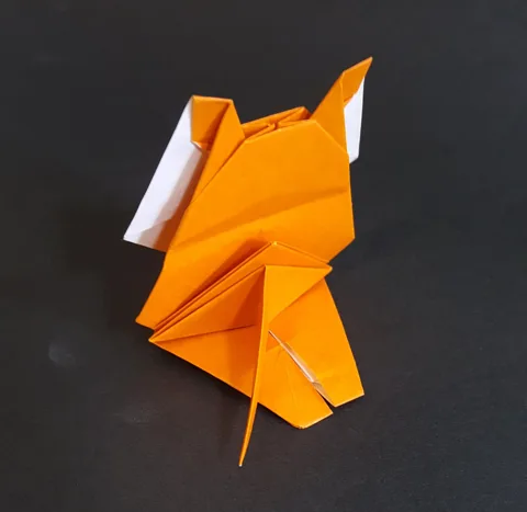 Simple cat