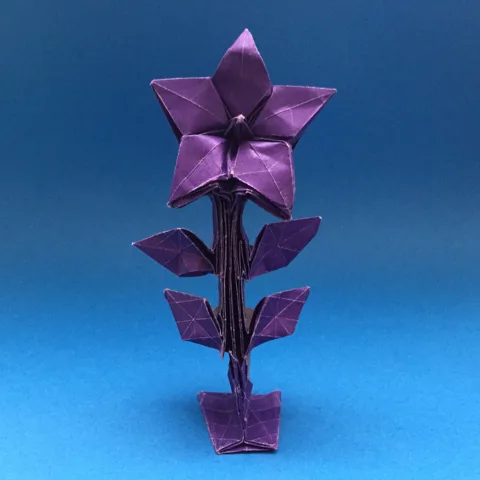Bellflower