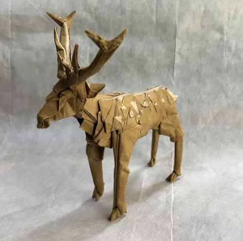 Deer