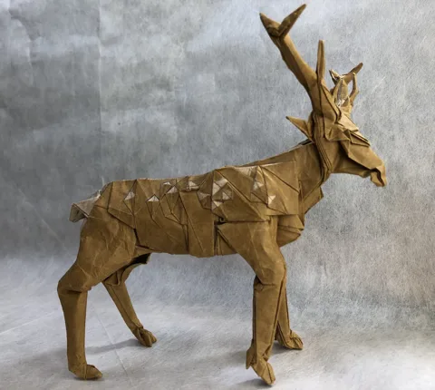 Deer