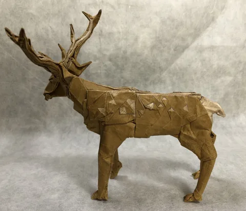 Deer