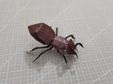 Ant