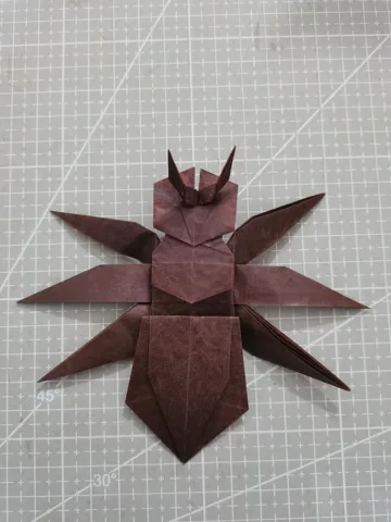 Ant
