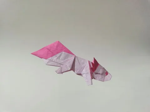Axolotl