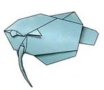 Blue gourami
