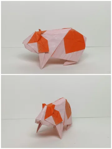 Guinea Pig