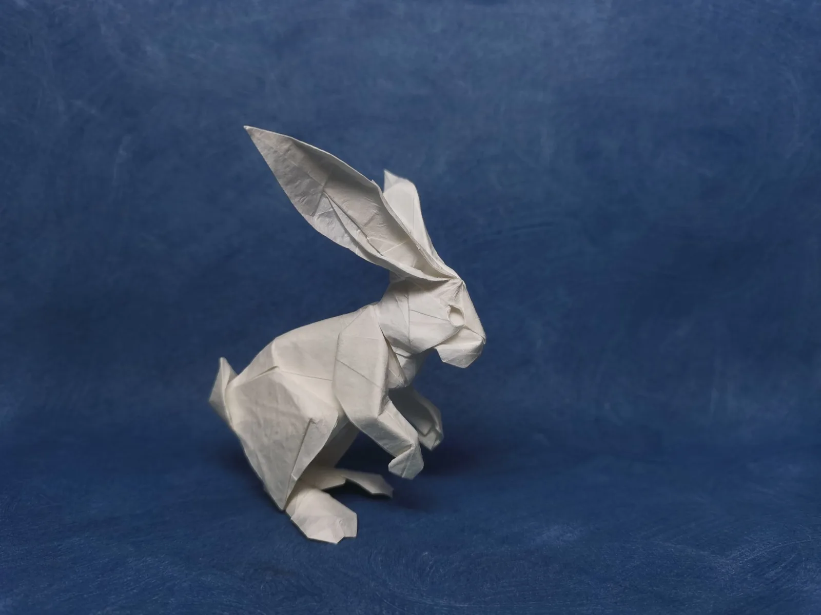 Little Rabbit