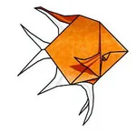 Angelfish