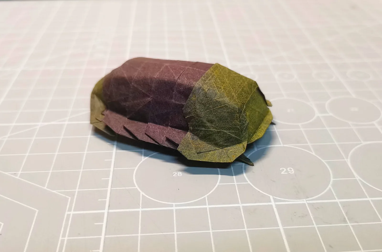 Rubber Ducky Isopod