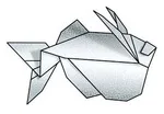 River hatchetfish