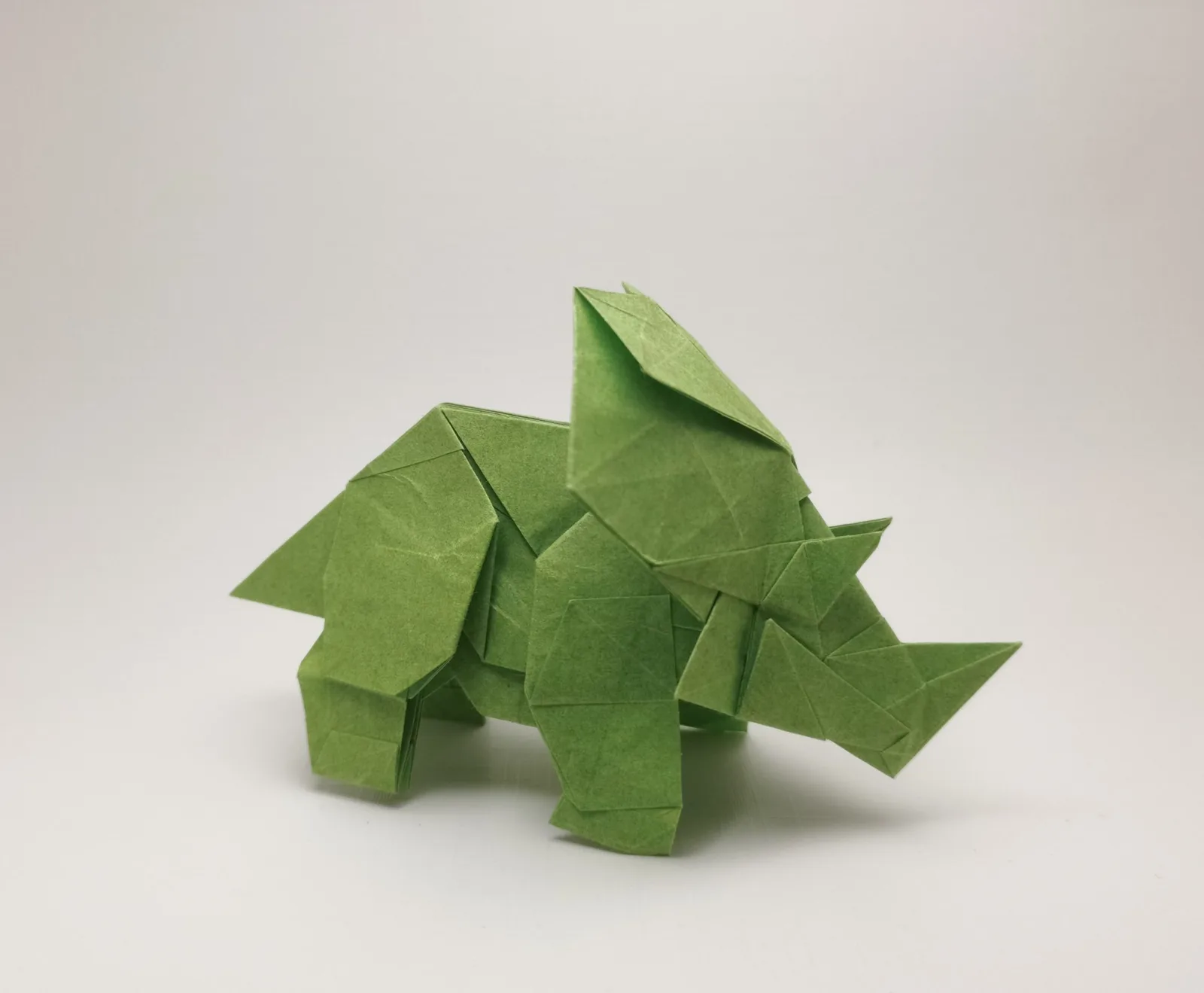 Triceratops