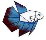 Betta
