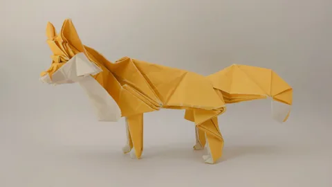 Fox