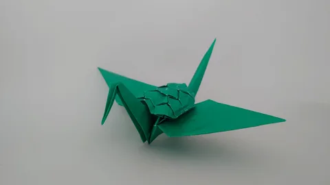 Turtle crane