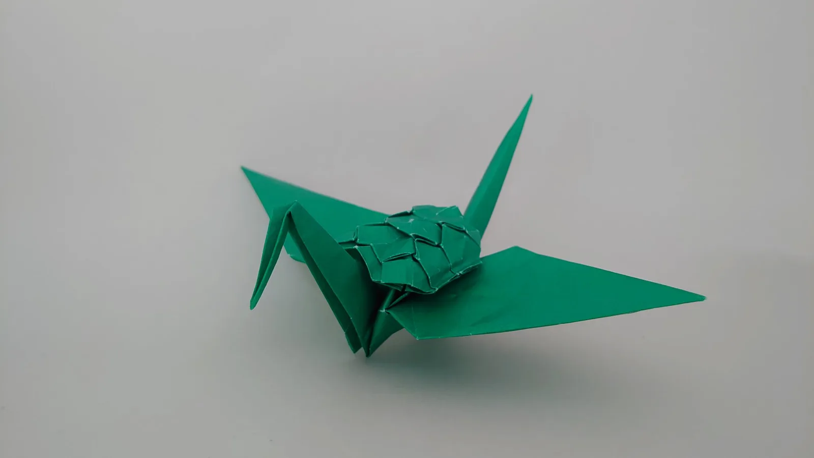 Turtle crane
