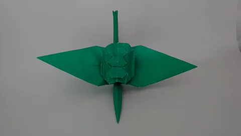 Turtle crane