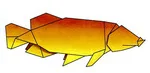 Arowana