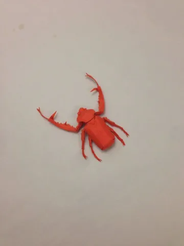 Arm beetle