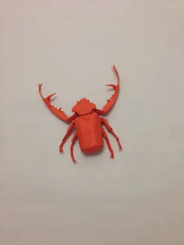 Arm beetle