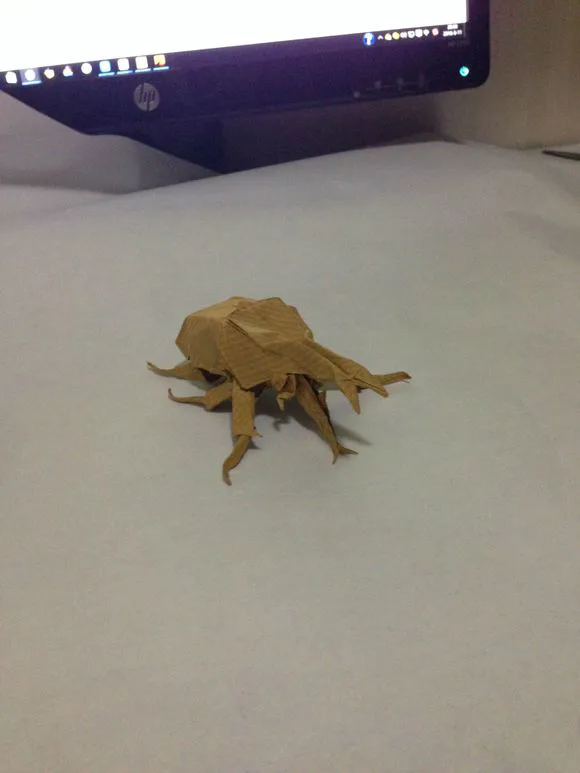 Rhino beetle