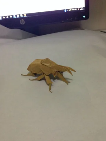 Rhino beetle