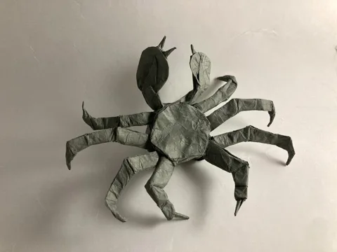 Chinese mitten crab
