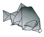 Black snapper