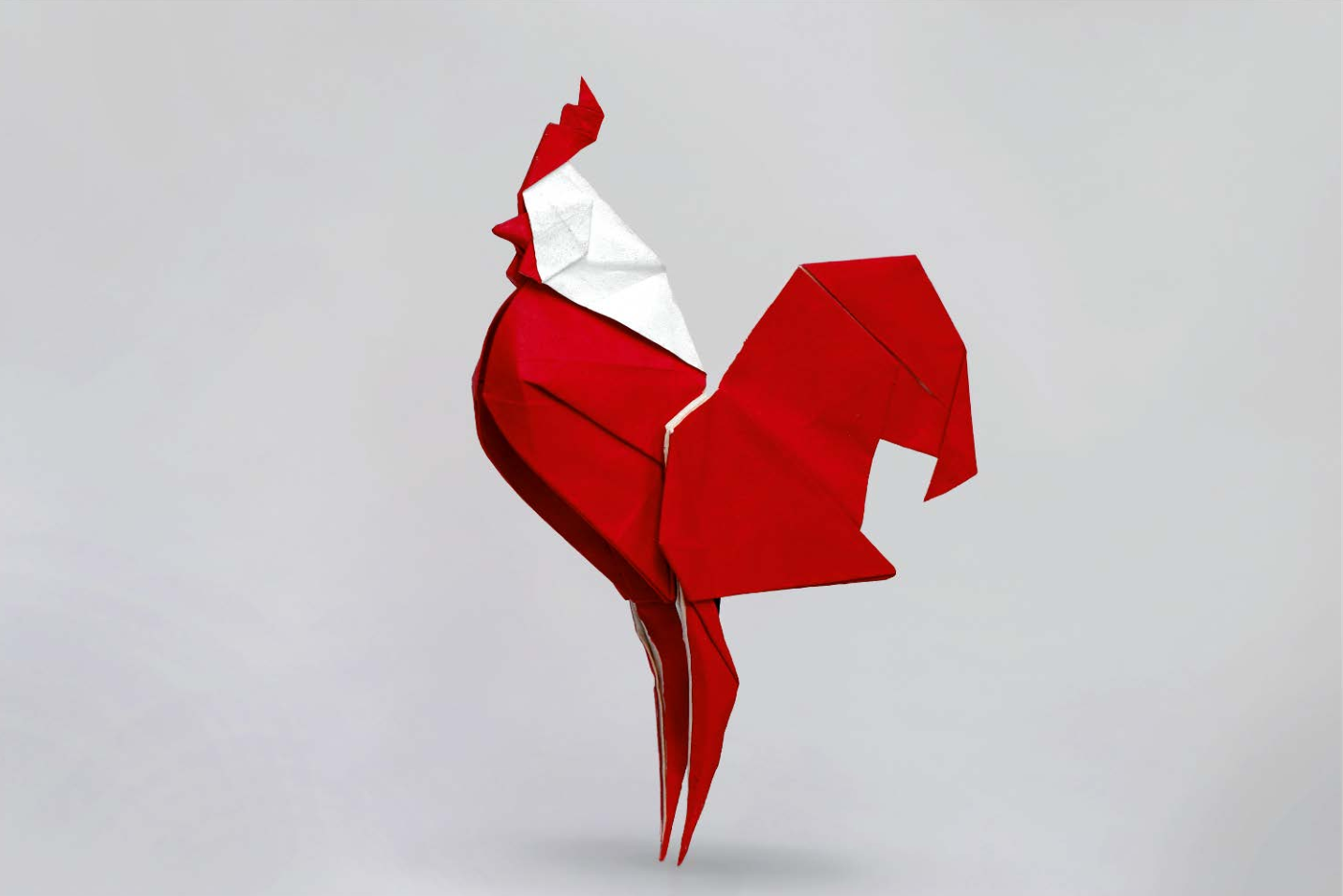 Rooster