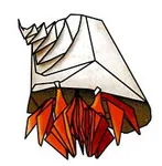 Hermit crab