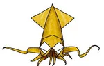 Squid