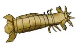 Mantis shrimp