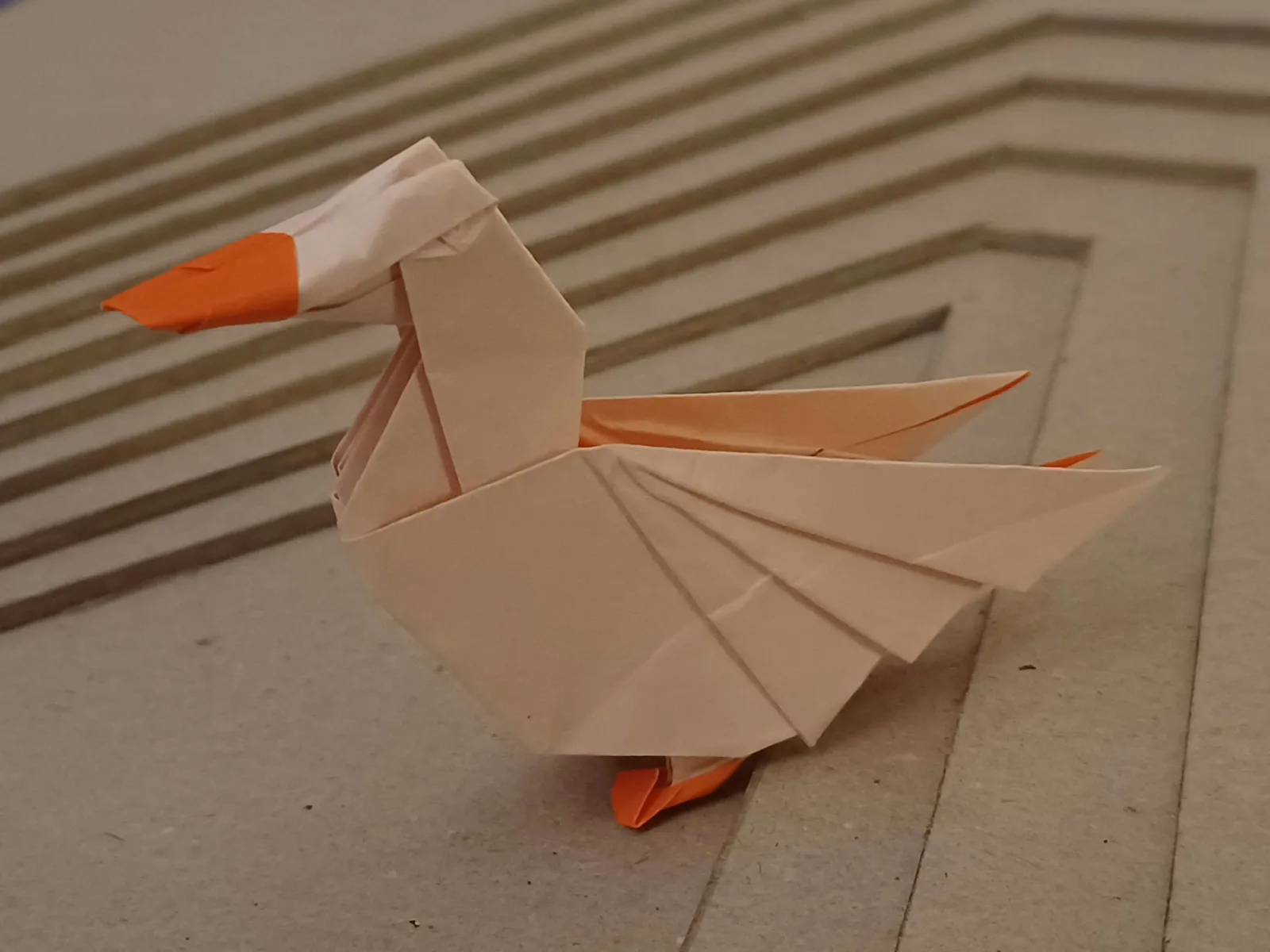 Duck