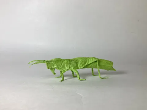 Grasshopper