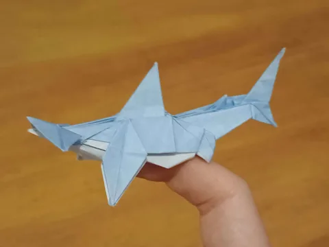 Hammerhead shark
