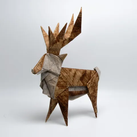 Reindeer␠