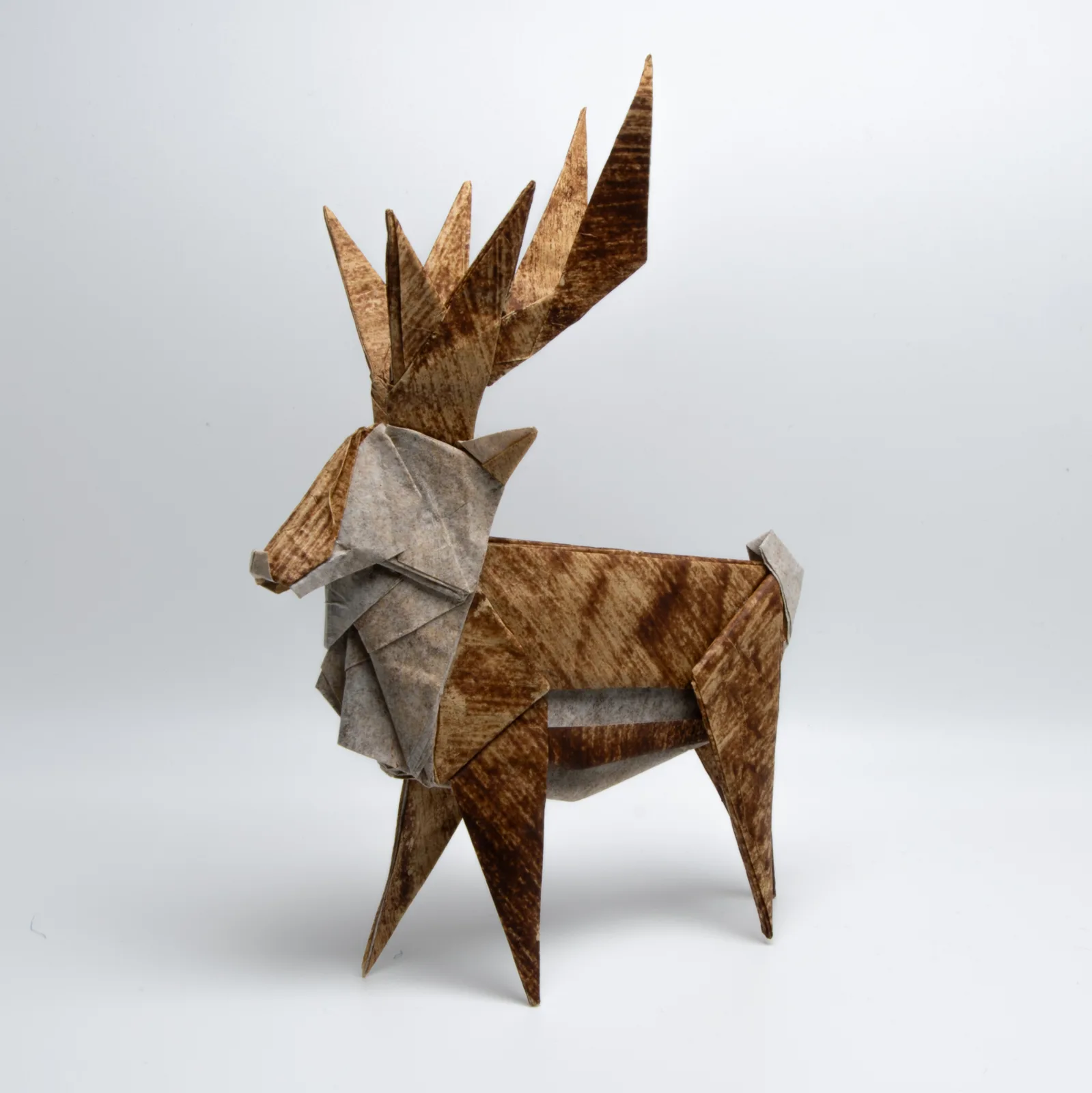 Reindeer␠