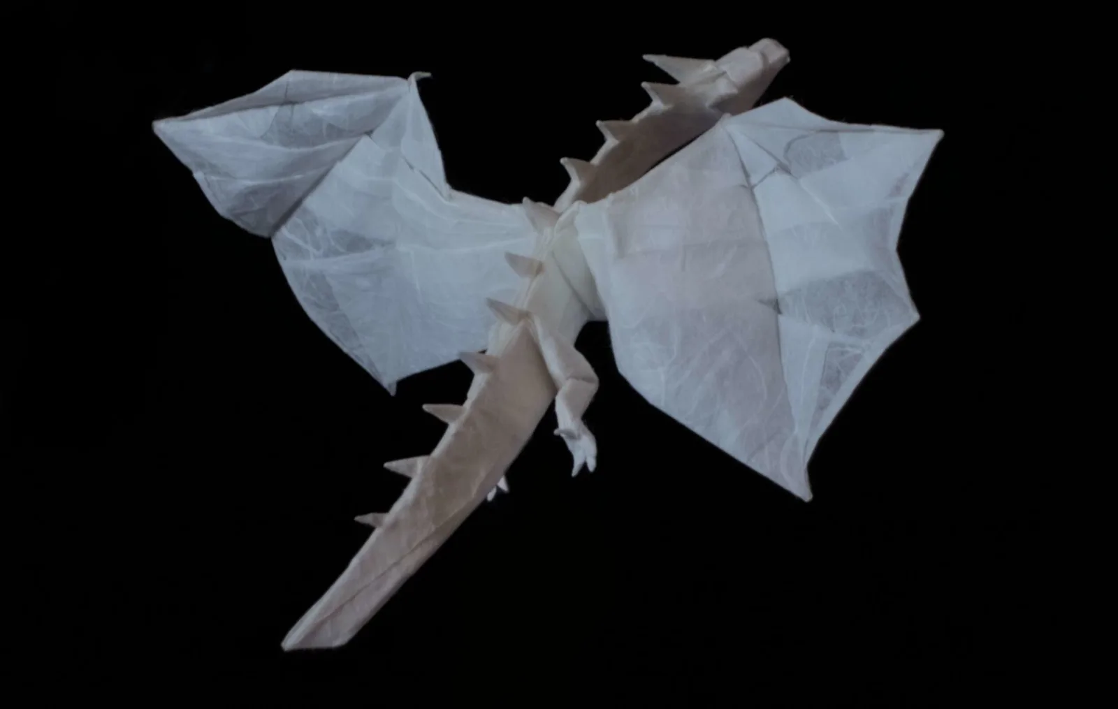 Spiky dragon