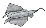 Ray
