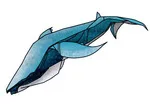 Whale