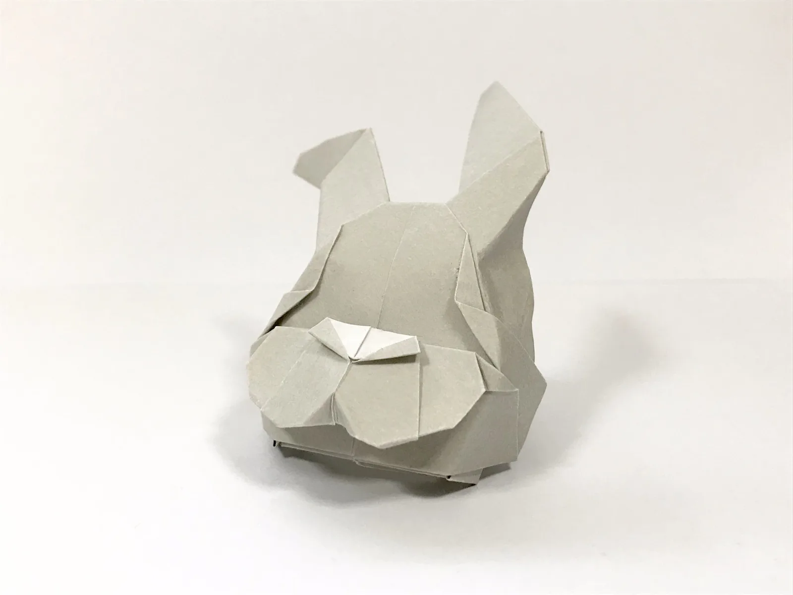 Bunny (Rabbit)