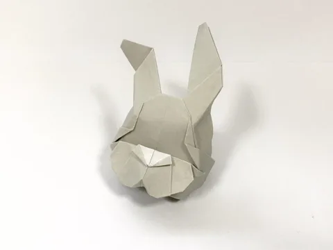 Bunny (Rabbit)
