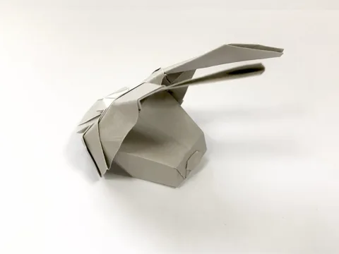 Bunny (Rabbit)