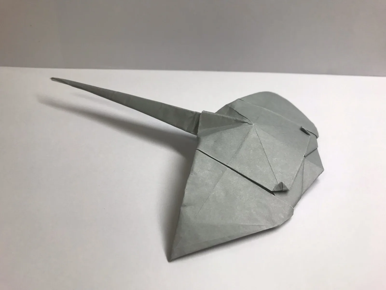 Manta ray