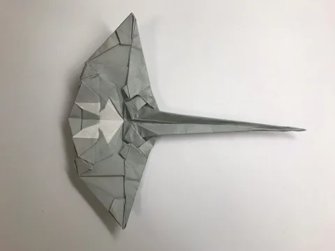 Manta ray