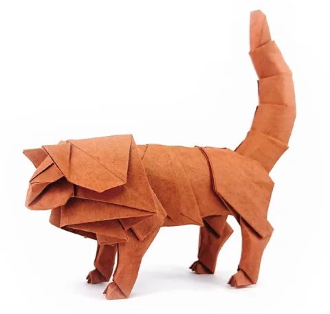 Norwegian cat