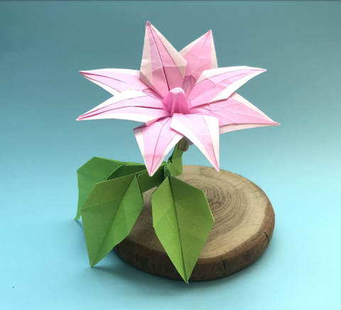 Clematis Blossom